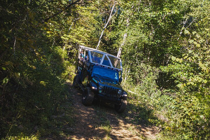Smoky Mountains Newfound Gap Jeep Tour - Photo 1 of 7